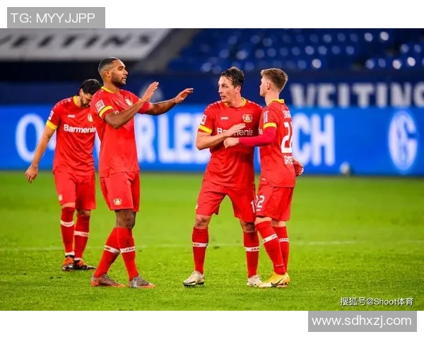 霍芬海姆誓战冲击前四引领德国足球新篇章