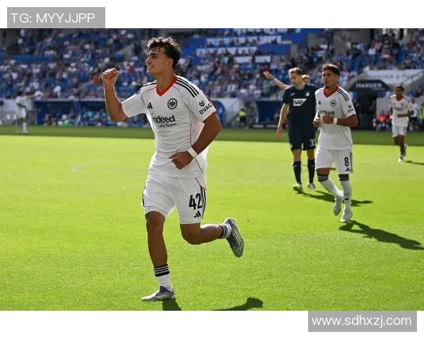 霍芬海姆客场绝杀，德甲前四重见光明