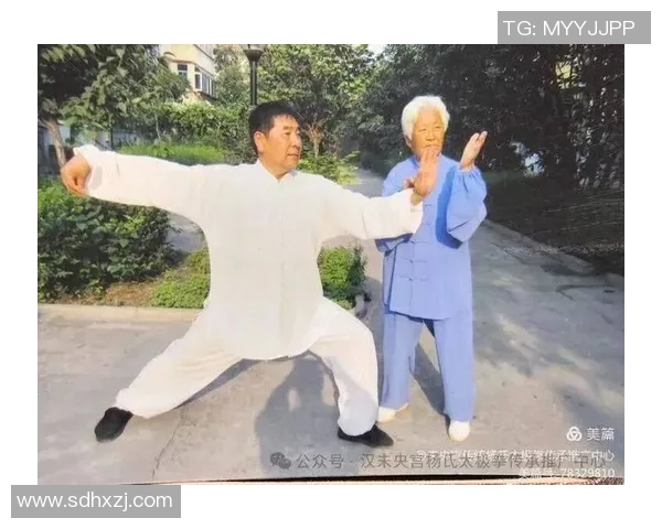 探索杨氏四十二式太极拳的深厚内涵与实用价值之旅 探索杨氏四十二式太极拳的深厚内涵与实用价值之旅