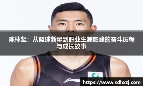 陈林坚：从篮球新星到职业生涯巅峰的奋斗历程与成长故事